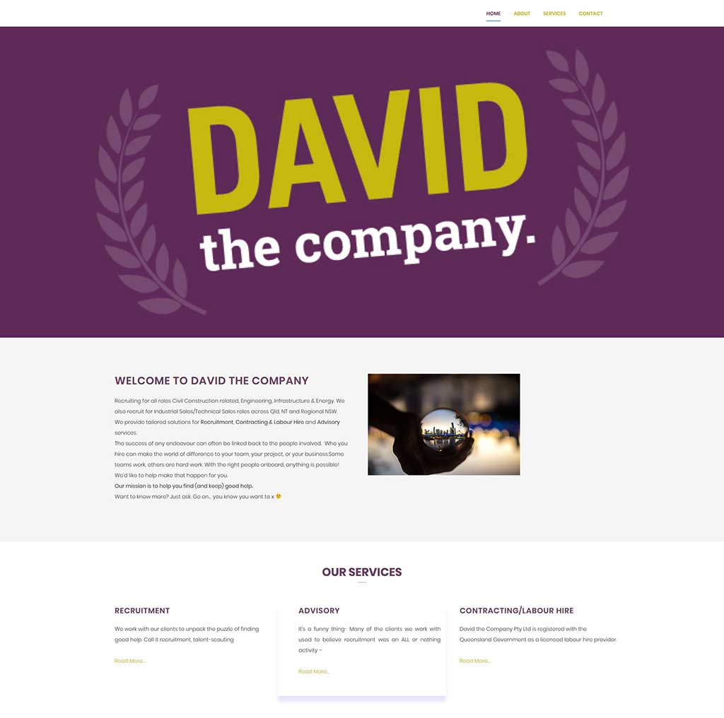 Read more about the article David the Company